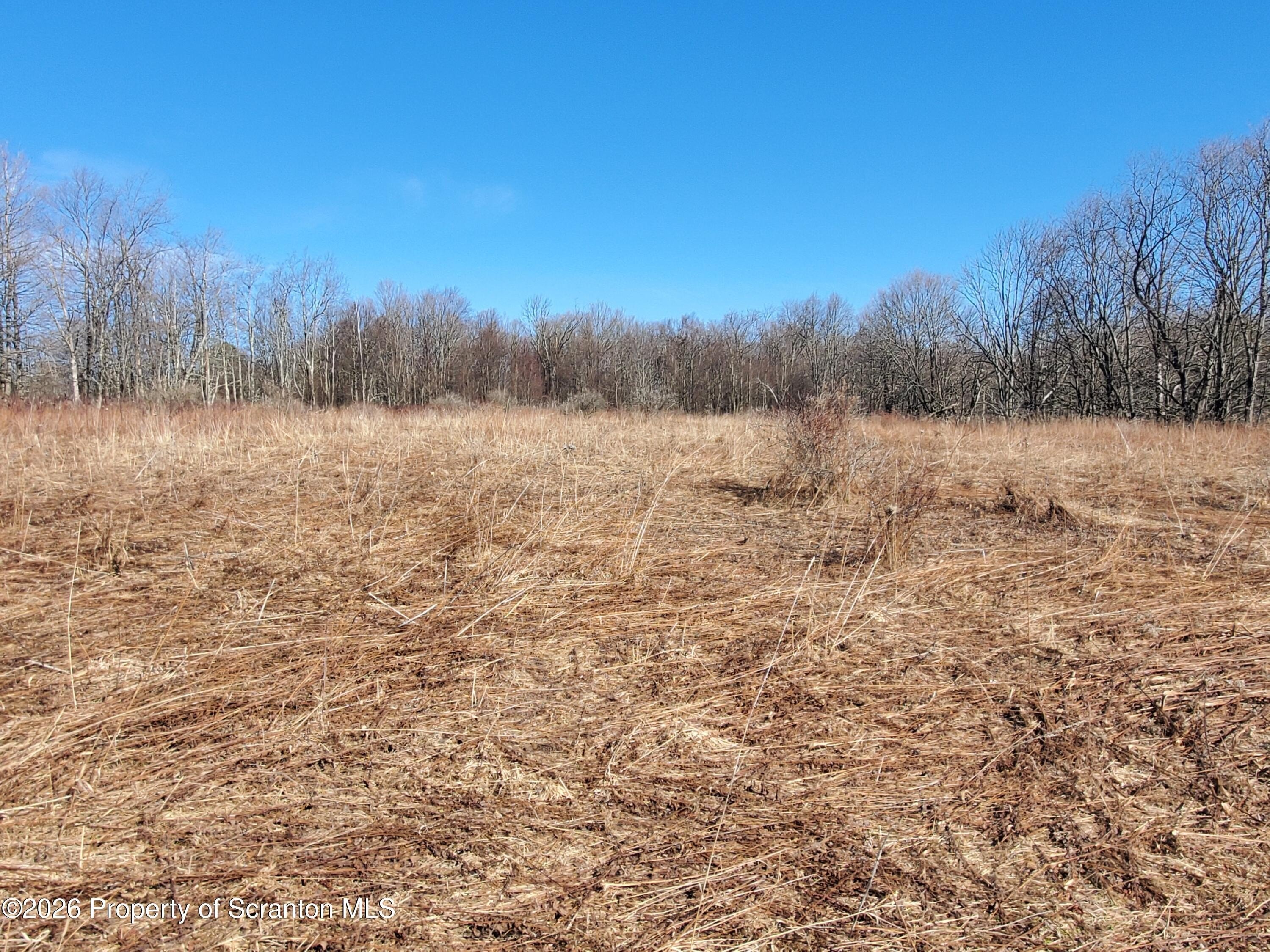 20 Acres of Mixed Land