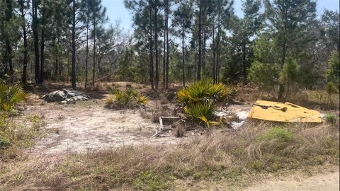 Land, SEBRING, FL