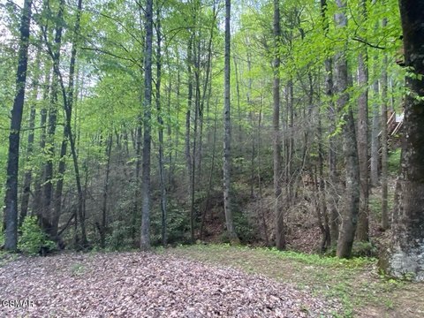 Sevierville Buildable Lot For Sale