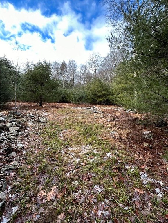 Picture 4