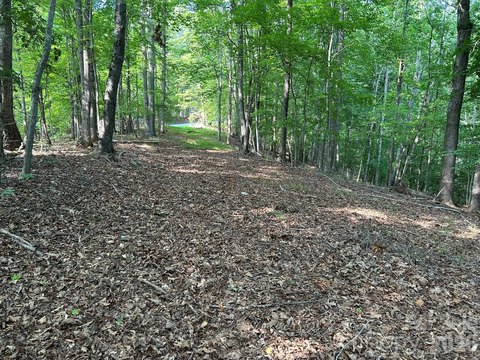 Wooded Residential Land Parcel