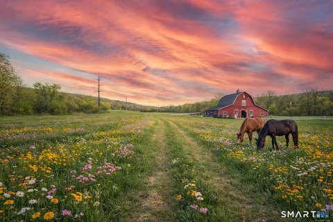 60+ Acres Agricultural Land Opportunity