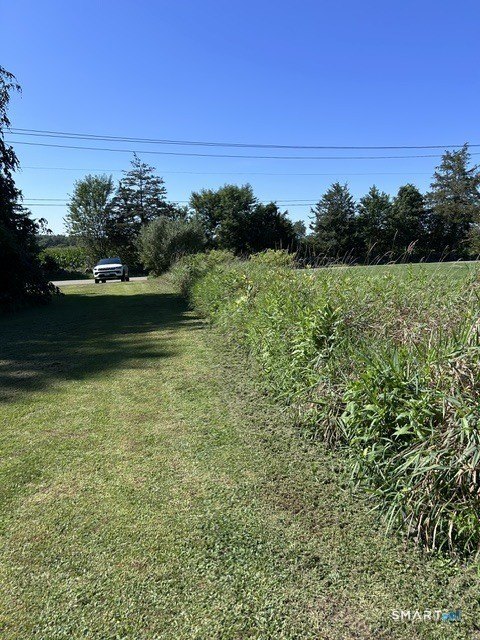 Picture 2