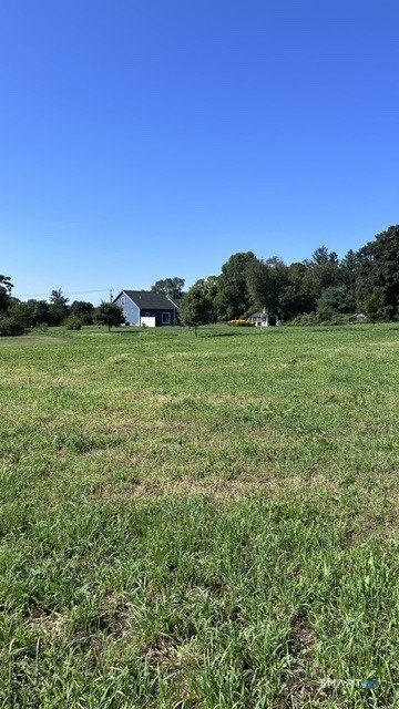 Picture 6