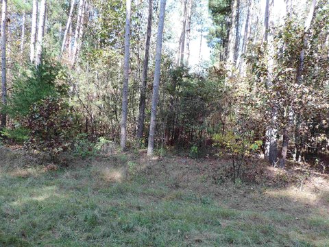 Lots & Acreage, Spring Green, WI