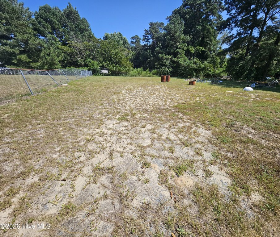 Picture 6