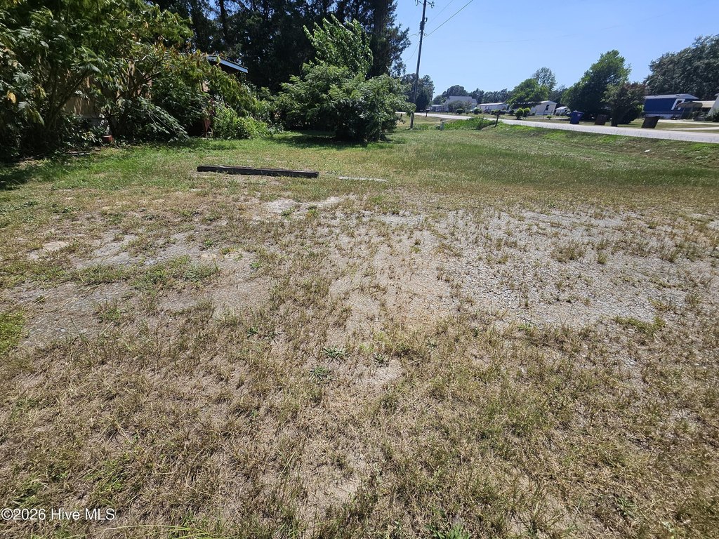 Picture 2