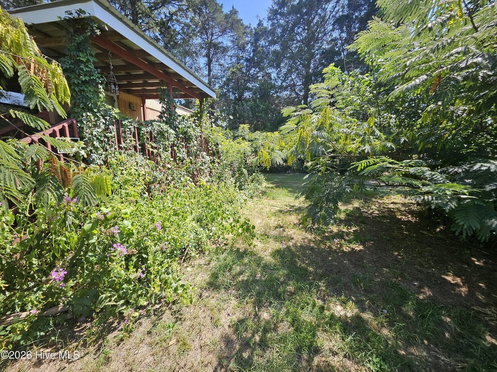Picture 10