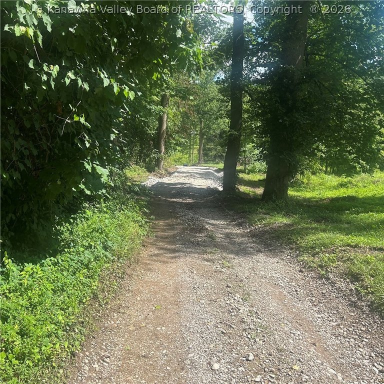 Picture 8