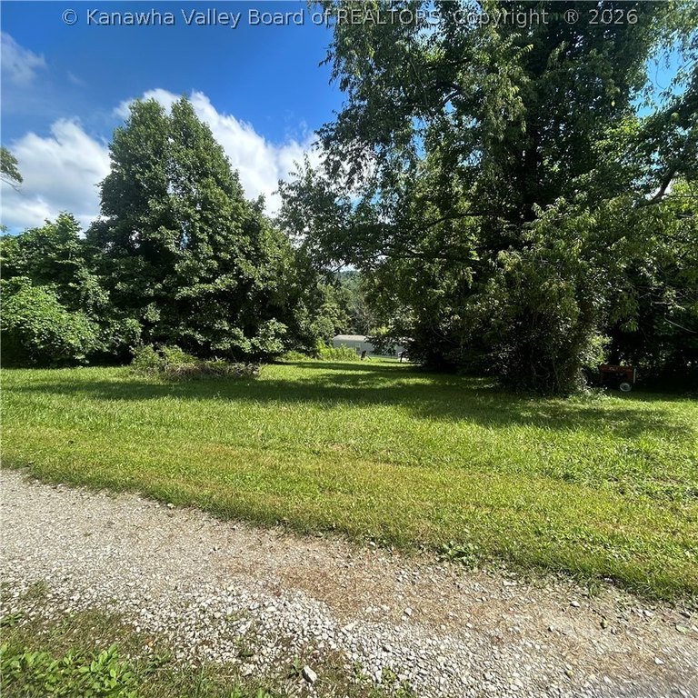 Picture 5
