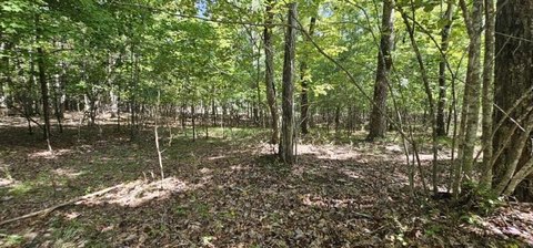 Dunlap, TN Wooded Lot