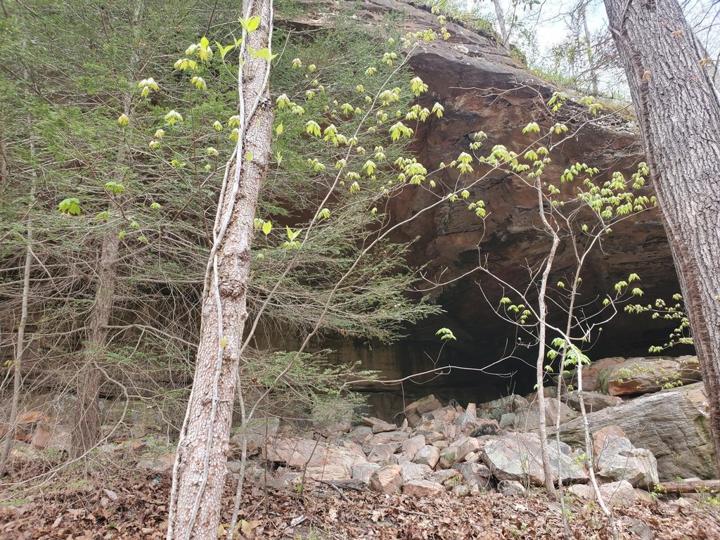 Picture 19