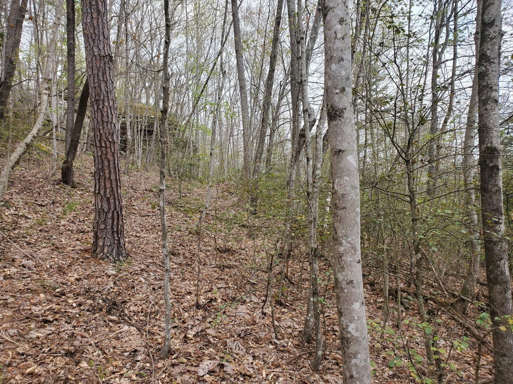 Picture 7
