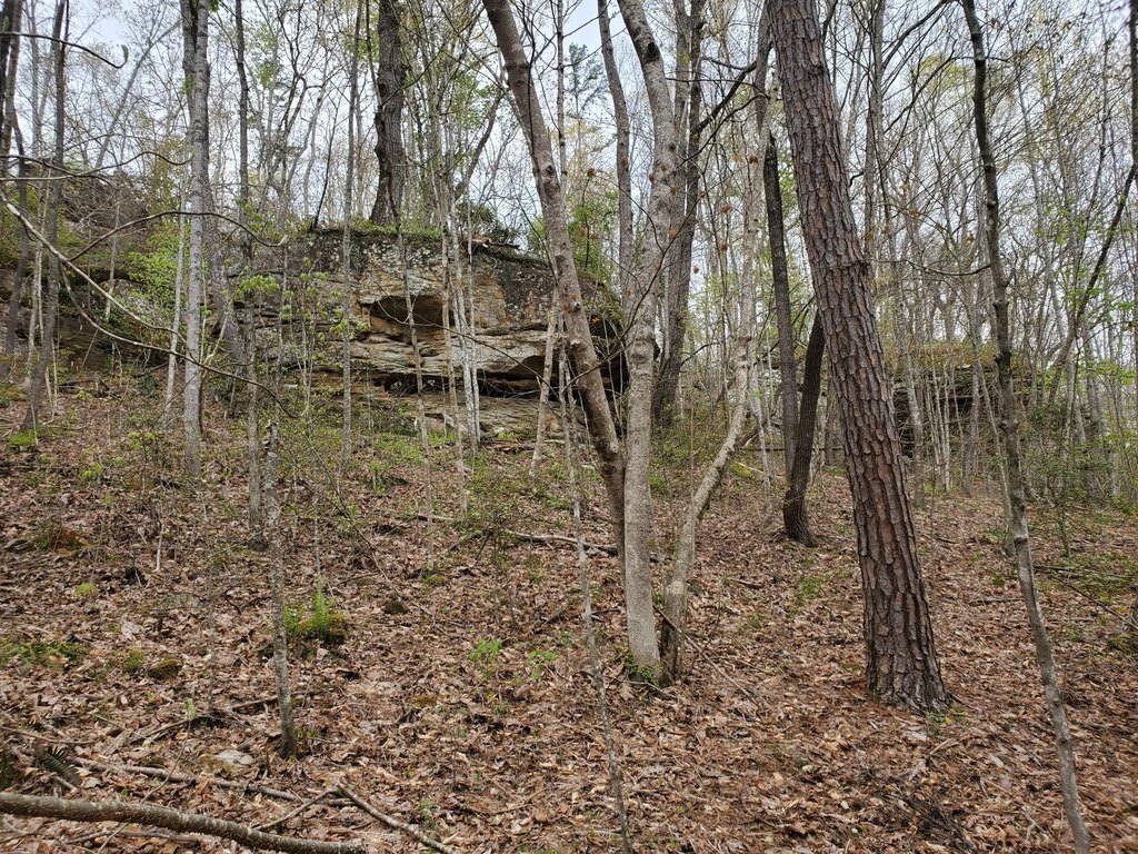 Picture 8