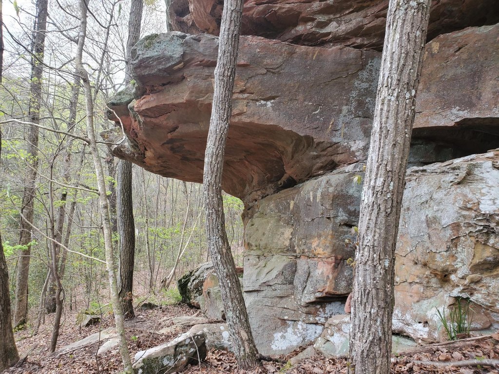 Picture 18