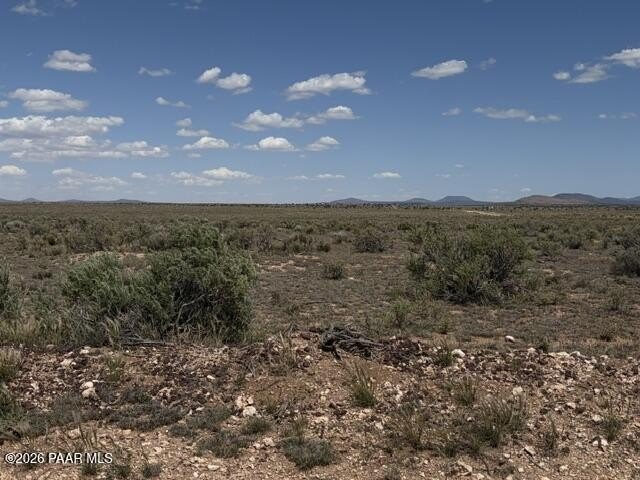 Picture 7