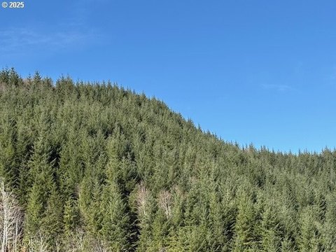 Yaquina River Frontage Land