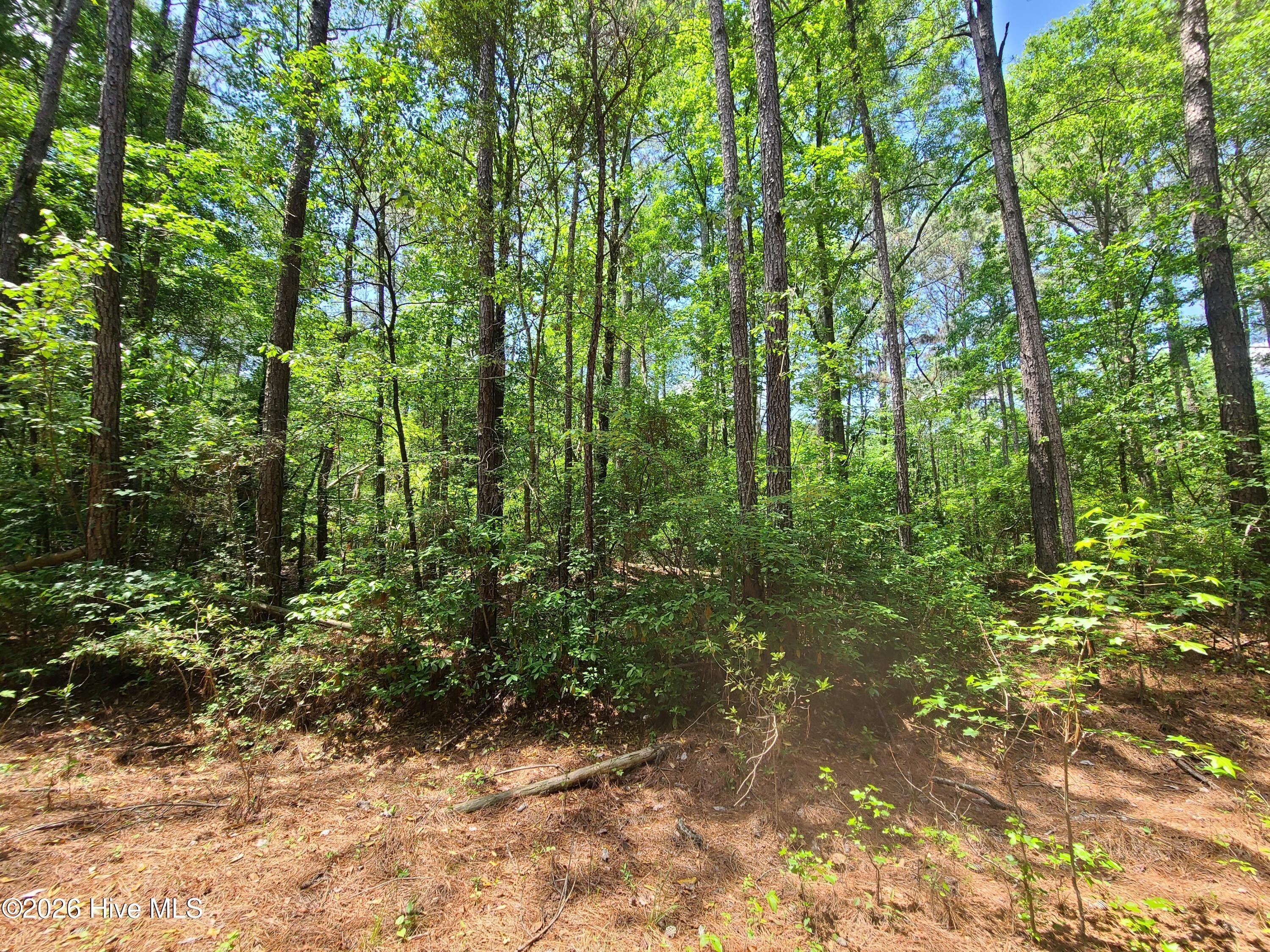 Wooded Lot in Sutton Town