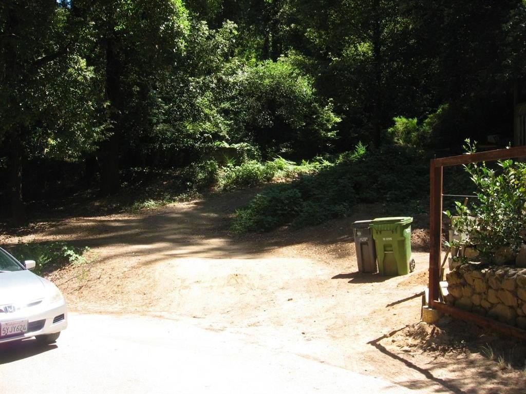Picture 3