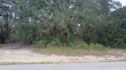 Land, OCKLAWAHA, FL