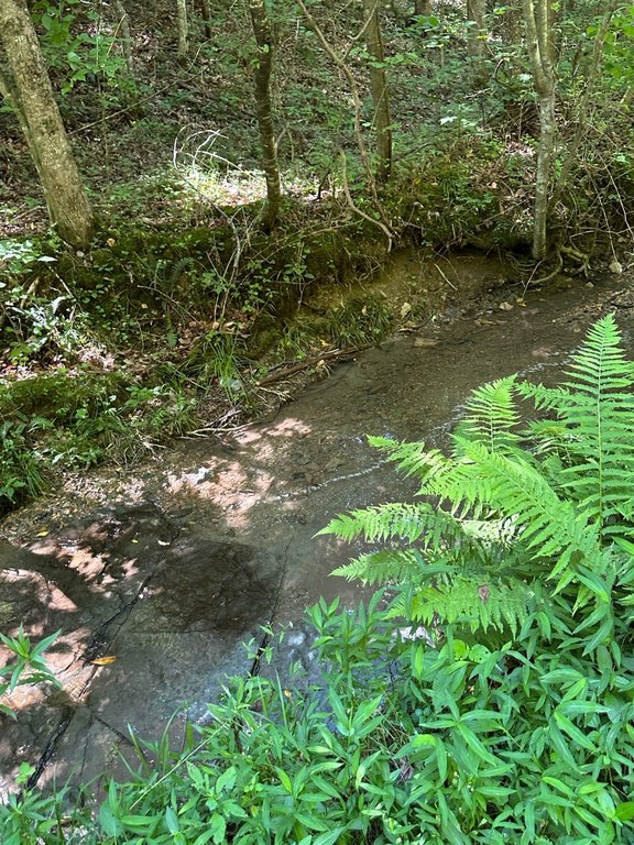 Picture 8