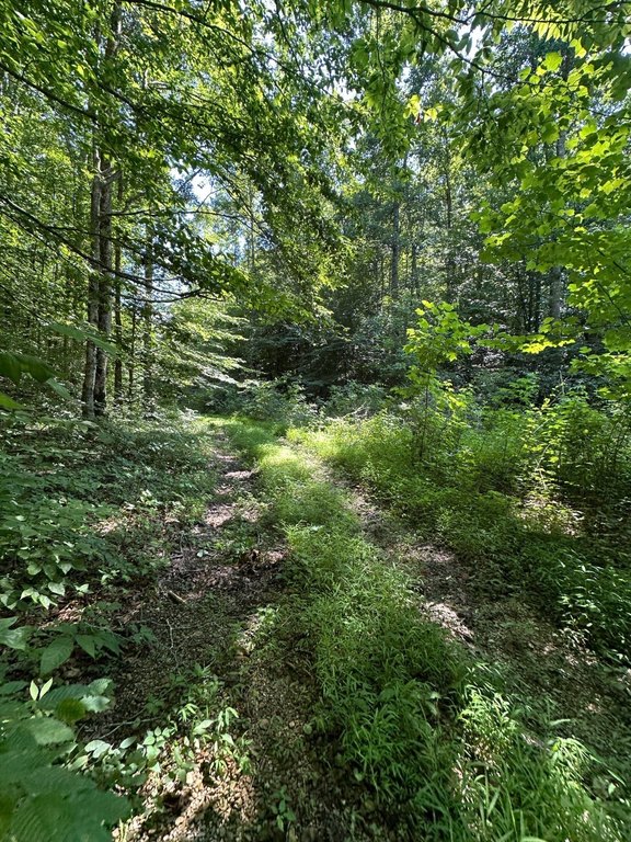 Picture 31