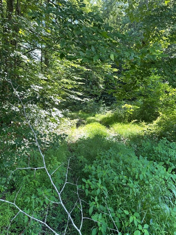 Picture 7