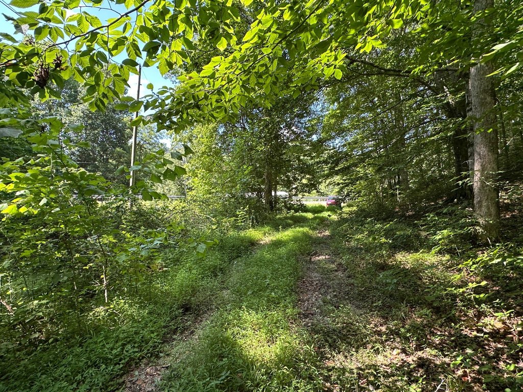 Picture 25