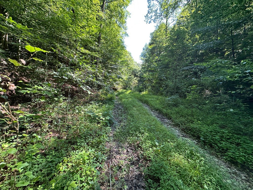 Picture 29