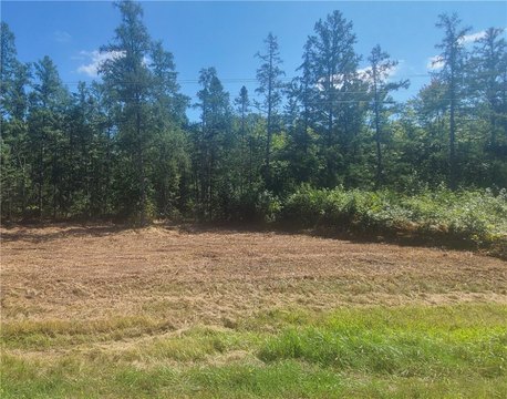 Minong, WI Wooded Lot