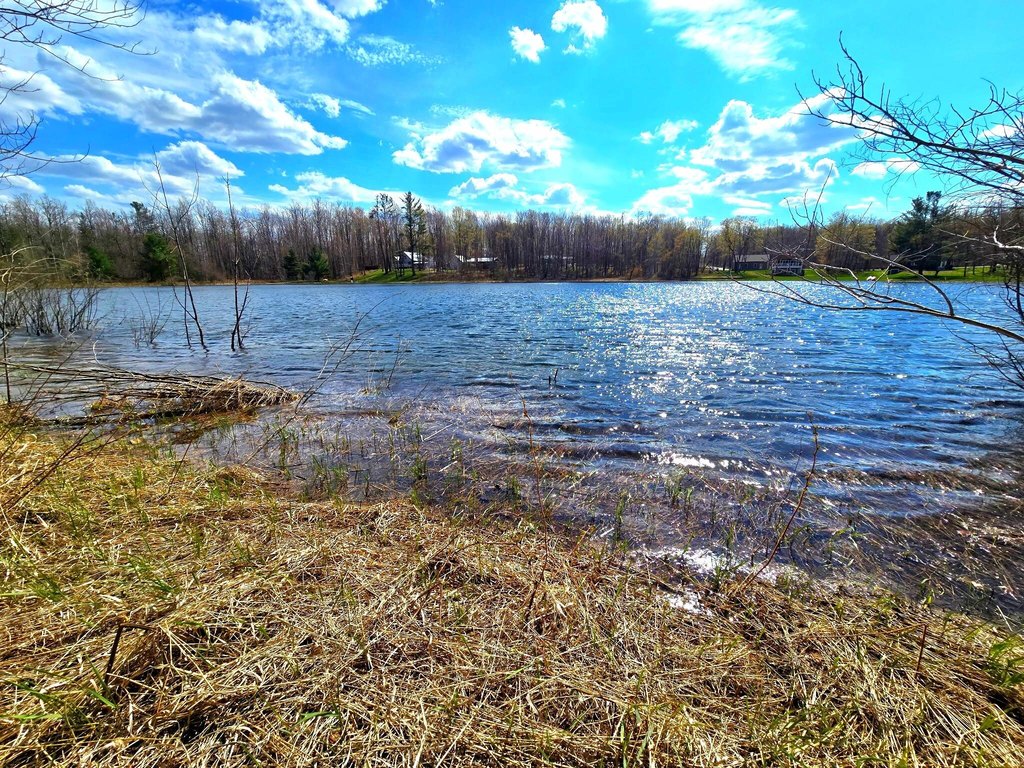 Picture 10