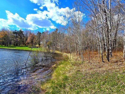 LAND - Elmira, MI