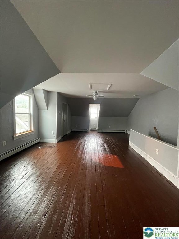 Picture 24