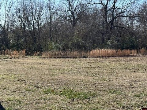 Land, Cotter, AR