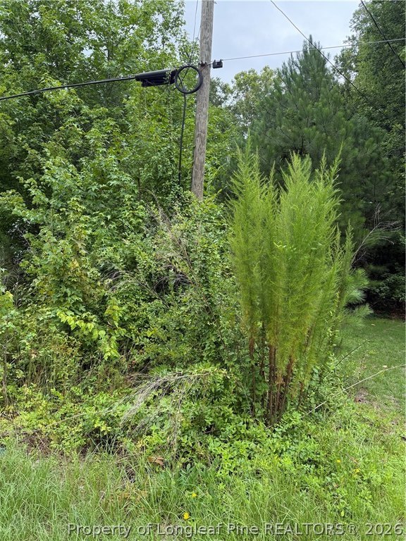 Picture 4