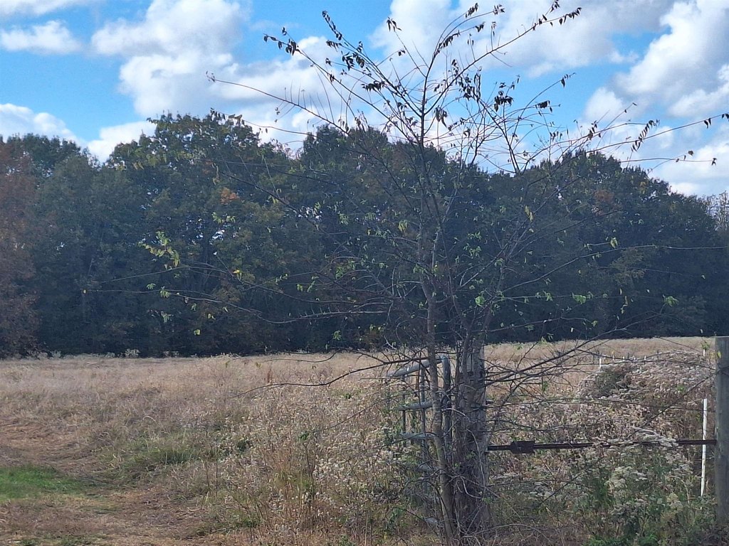 Picture 4