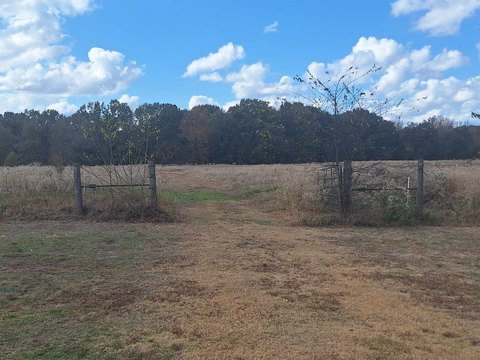 LAND, Cookville, TX