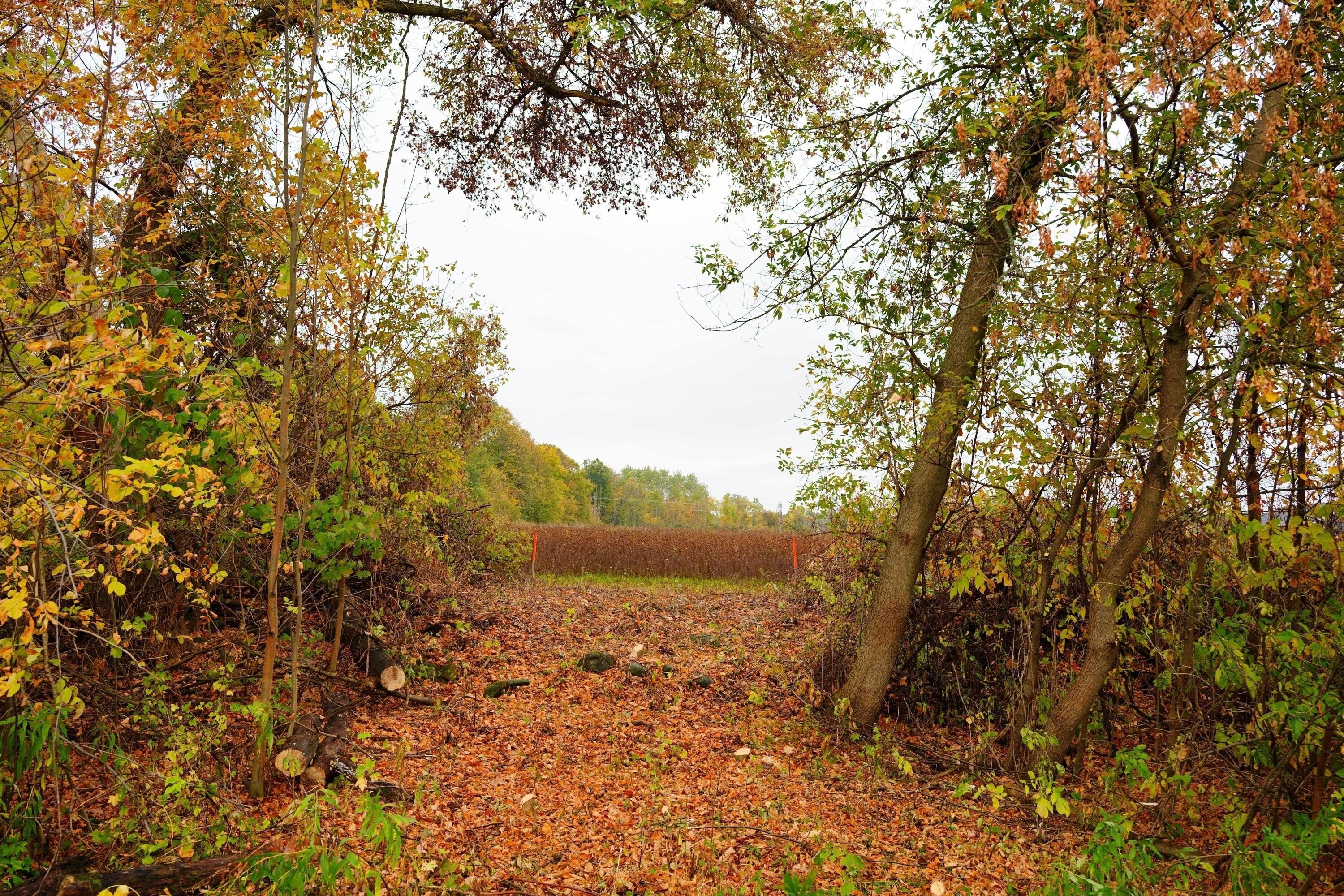 Waldo, WI Vacant Land