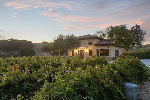 Paso Robles Vineyard Estate