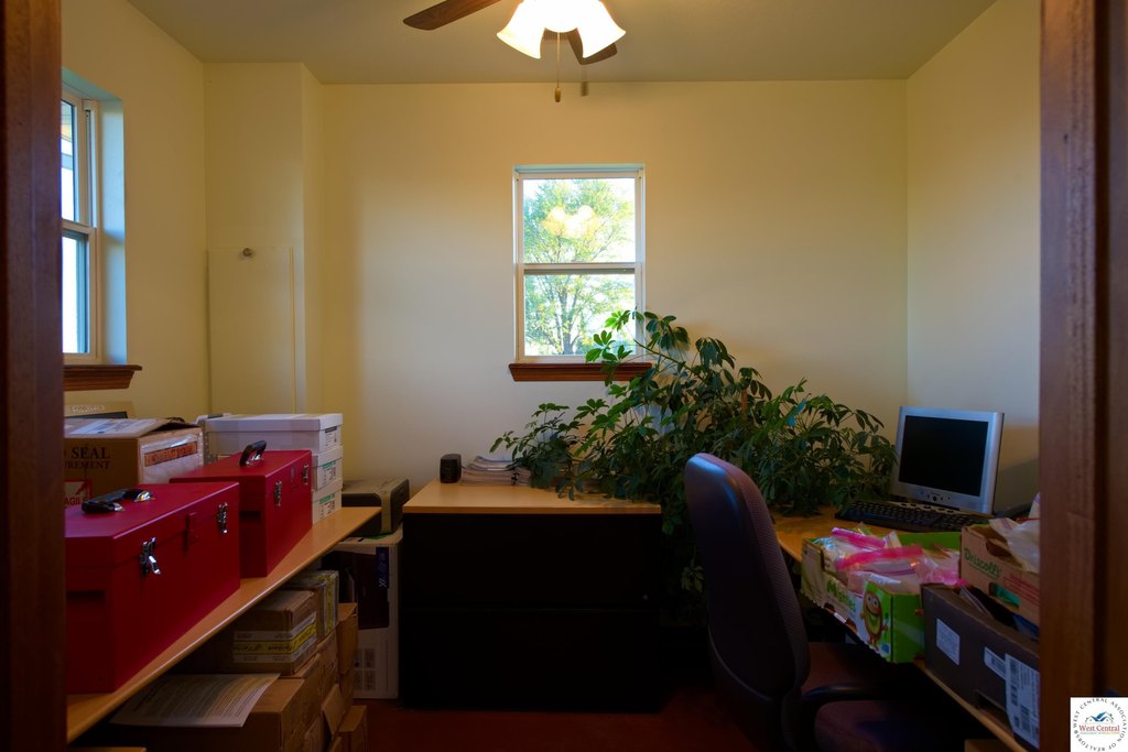 Picture 16