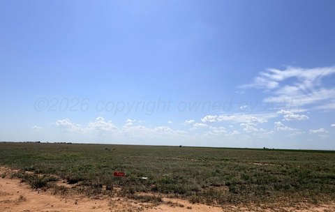 Land -40, Hartley, TX