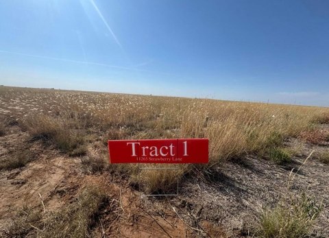 LAND - Hartley, TX