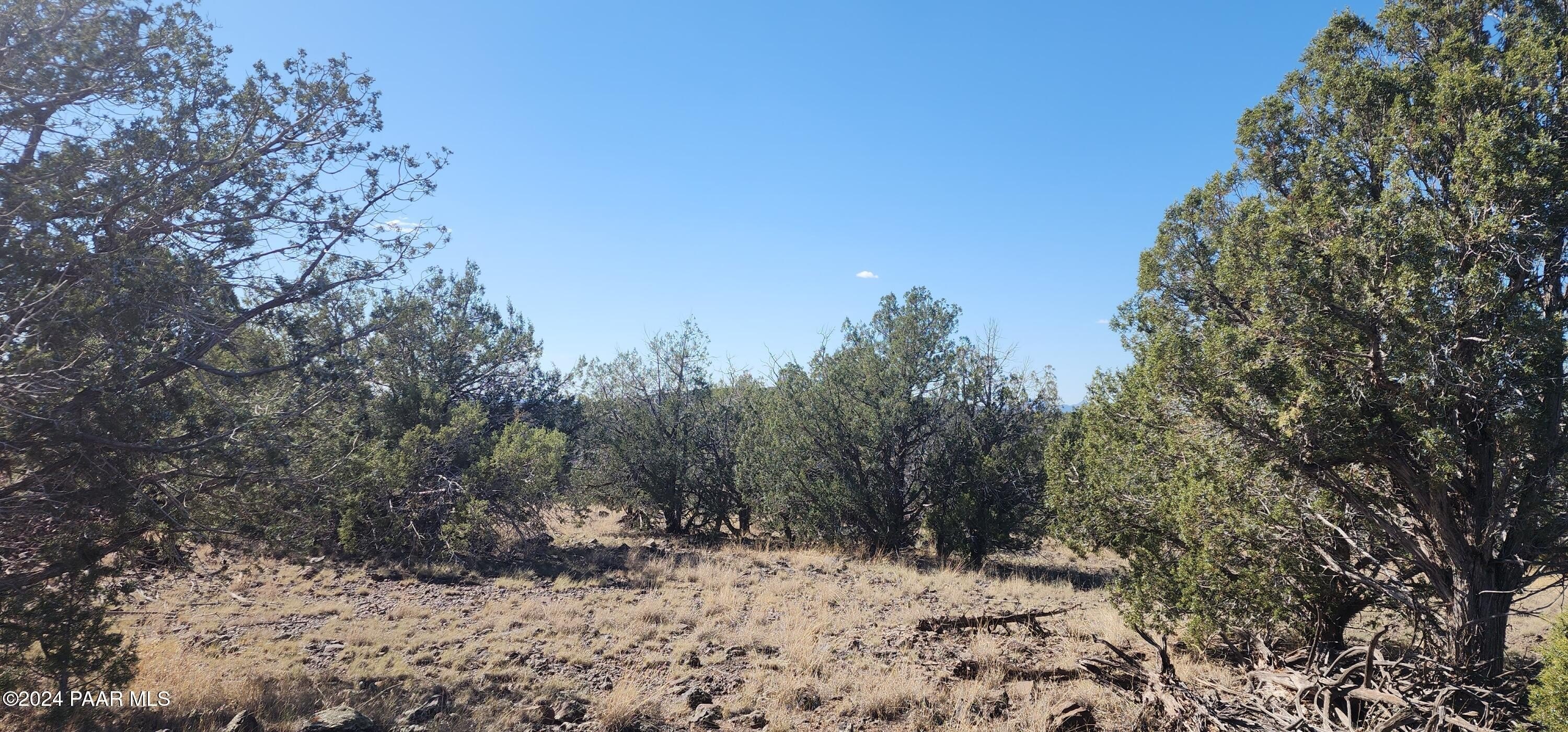 Land Near Ash Fork, AZ