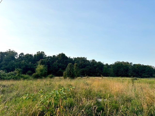 Picture 11