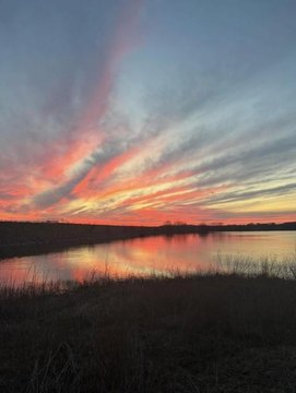 Scenic 40-Acre Texas Ranch