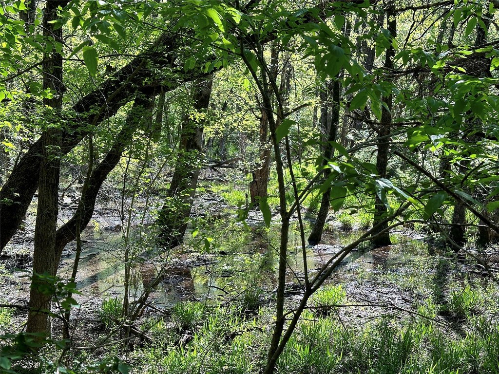 Picture 27