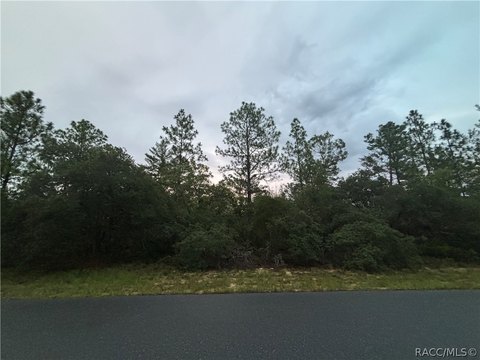 Land, Dunnellon, FL