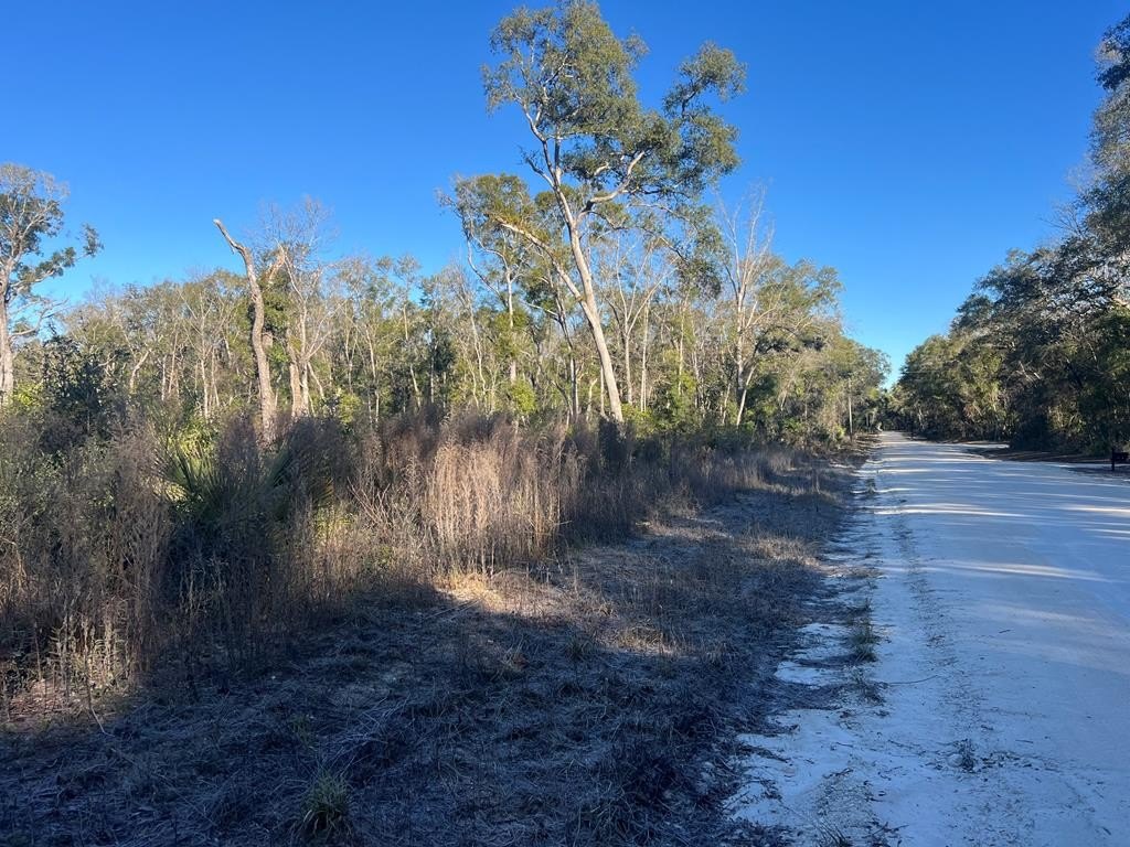 5-Acre Land in Old Town