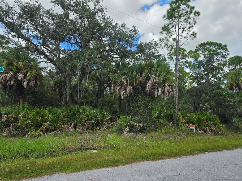 Picture 5