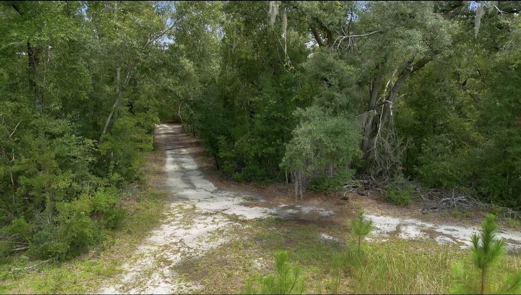 Picture 16